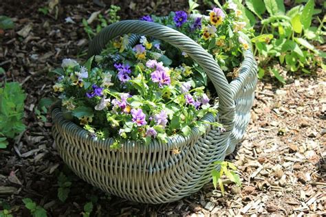 Cómo decorar una cesta de mimbre con flores secas Jardineria On