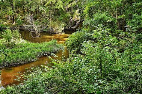 Congaree Creek 8 30 2021 Timmerman Trail Cayce SC Niko Flickr