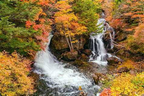 【必見！】﻿栃木の絶景＆おすすめスポット12選！定番から穴場まで Premium Outlets Times