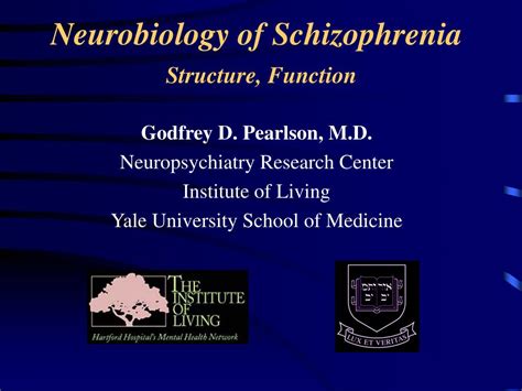 Ppt Neurobiology Of Schizophrenia Structure Function Powerpoint