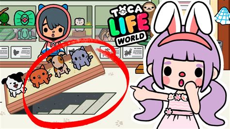 You Dont Know Everything 😨 Toca Boca Secret Hacks 🤫 Toca Life World