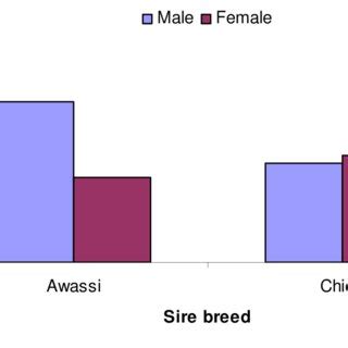 Interaction Effect Of Sire Breed And Sex On Heart Girth Shoulder And