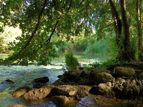 Riberas características importancias y bosques ribereños