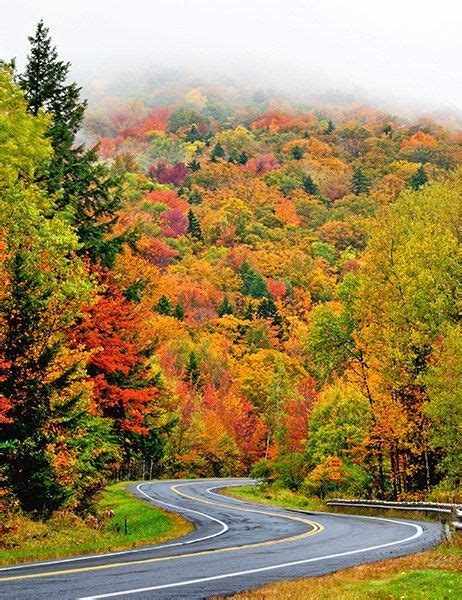 The Best American Road Trips To See Fall Leaves Fall Foliage Trips