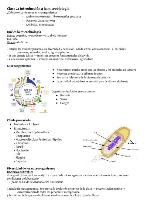 Solution Introducción A La Bacteriología Características Estructuras