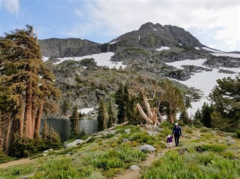 Hiking Winnemucca Lake in Summer – Tahoe Adventures