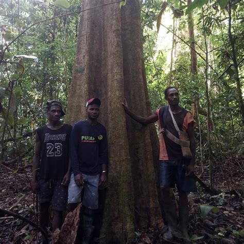 Pantau Papua On Twitter RT AbuUniversitas Sejarah Geologi