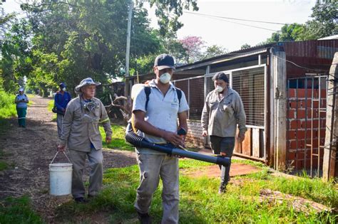 Operativos diarios para evitar la proliferación del Aedes aegypti