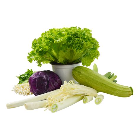 Mezcla De Vegetales Verdes Org Nicos Png Org Nico Verde Verduras