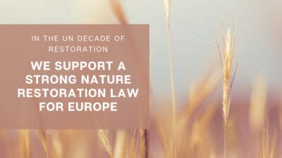 Ffb Foundation S Reaction To Eu Councils Position On Nature