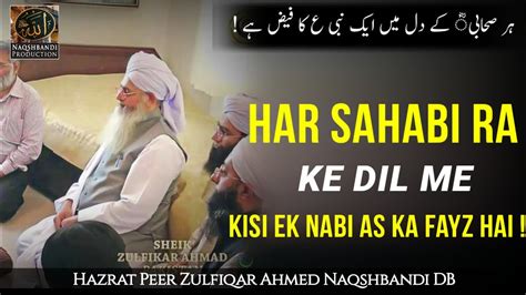 Har Sahabi Ra Ke Dil Me Kisi Nabi As Ka Fayz Hai Hazrat Peer Zulfiqar