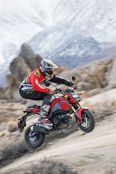 Honda Grom Off Road Dirt Action Honda Grom Honda Honda Msx 125