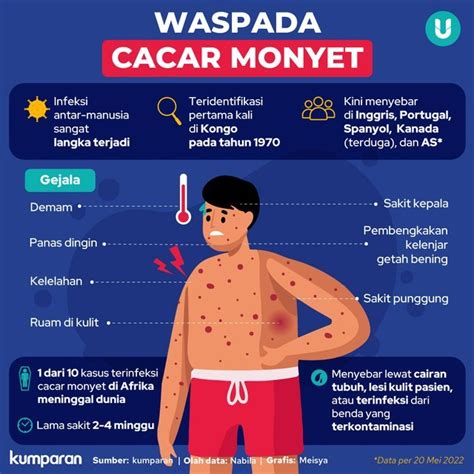 Virus Cacar Monyet Gejala Penyebab Dan Cara Menyembuhkannya