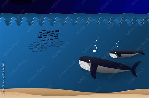 illustration of blue whale and baby dive in under the sea with group of ...