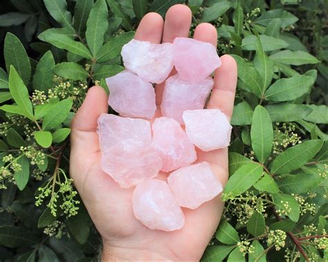 Madagascar Rose Quartz Rough Natural Stones Choose How Many Etsy