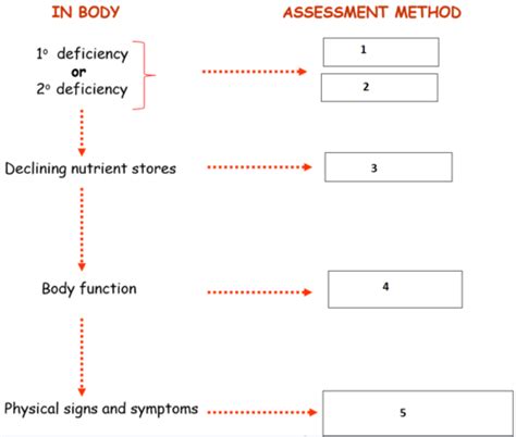 Gimn Week 10 Nutritional Status Assessment Flashcards Quizlet