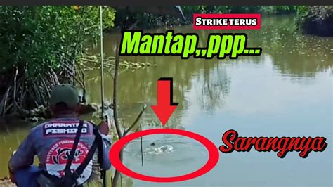 Mancing Ikan Kiper Kitang Di Muara Yang Selalu Memuaskan Strike Youtube