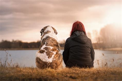 What Dogs Can Teach Us About Inner Peace