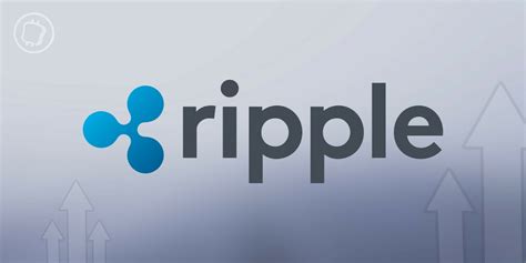 Pourquoi Ripple Xrp Surperforme Le Reste Du March Crypto