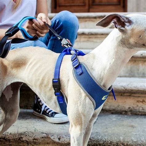 Coleira Peitoral Ferplast Nikita XPequena Para Passeio Cães Preto