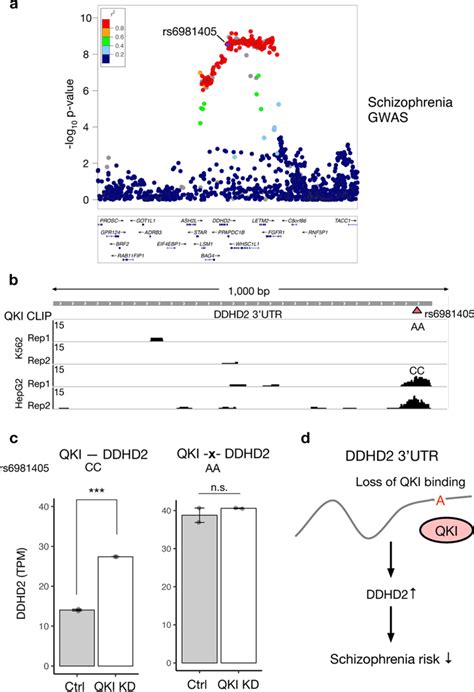 Genome Wide Landscape Of RNA Binding Protein Target Site Dysregulation