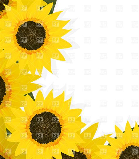 Sunflower Border Vector at Vectorified.com | Collection of Sunflower ...