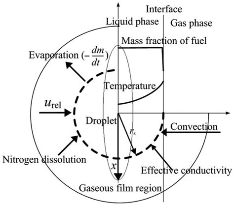 Modeling Of Heat And Mass Transfer And Droplet Deformation Under