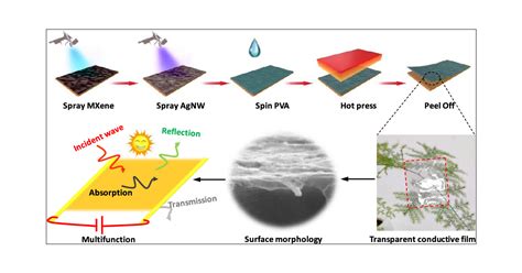 Flexible MXene Silver Nanowire Based Transparent Conductive Film With