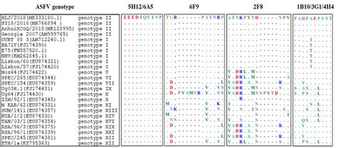 Sequence Conservation Analysis Of The Identified Epitopes Among