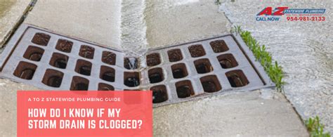 Don T Let Storm Drains Rain On Your Parade How To Spot A Clogged Storm