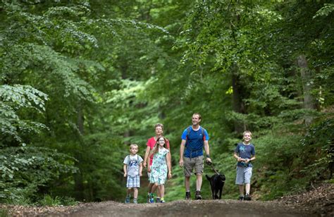 Wanderweg Im Wiehengebirge A L Bbecke Wanderung Outdooractive