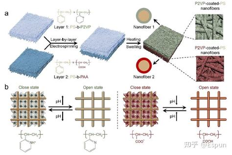 7位院士关于“静电纺丝与纳米纤维”的研究成果 知乎