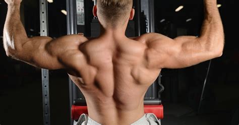 Isometric Shoulder Raises | Free Muscle Building Tips