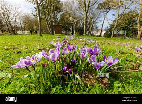 Pas Le Parc Banque De Photographies Et Dimages à Haute Résolution Alamy