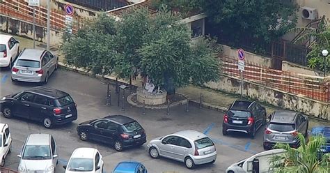 Un Giardino Della Memoria In Via D Amelio La Petizione Di Salvatore