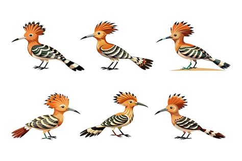 Premium Vector Hoopoe Bird Different Style Vector Artwork Illustration