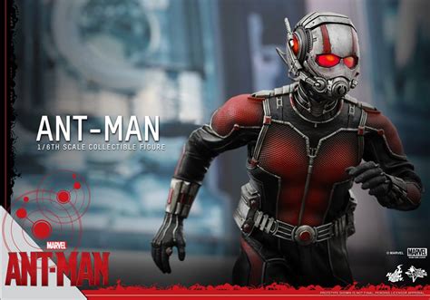 Hot Toys Ant Man Collectible Action Figure — Geektyrant