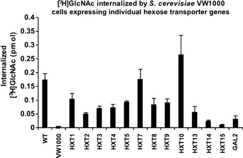 Internalization Of H Glcnac By Saccharomyces Cerevisiae Cells Import