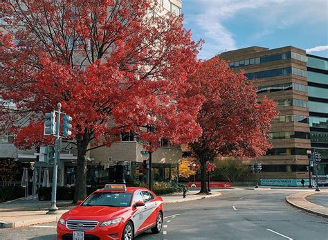 DC Taxi (Washington DC): Hours, Address - Tripadvisor