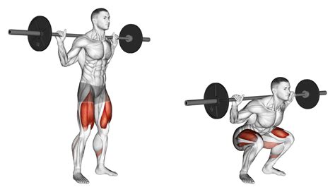 Low Bar vs High Bar Squat: 6 Major Differences Explained - Inspire US