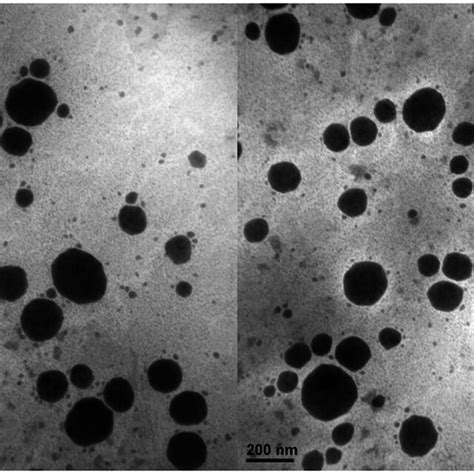 Transmission Electron Microscope Micrographs Of Blank Nanostructured