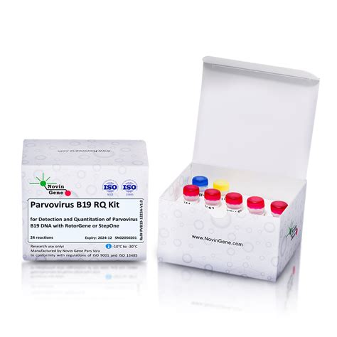 Parvovirus B19 Detection And Quantitation Kit Novingene