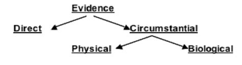 Unit 2 Notes Crime Scenes And Evidence Collection Concept 1 And 2