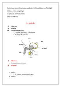 R Gulation De La Fonction Reproductrice Chez L Homme Rappels De