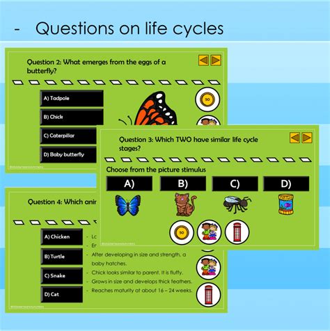 Life Cycles Quiz Powerpoint Made By Teachers