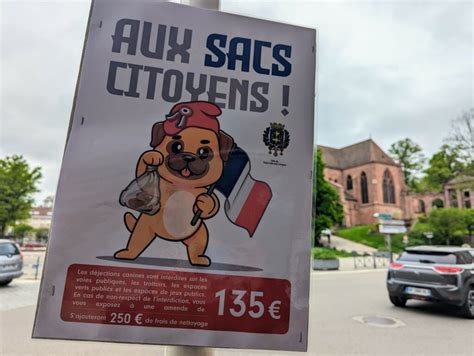 Une amende très salée pour les déjections canines non ramassées à