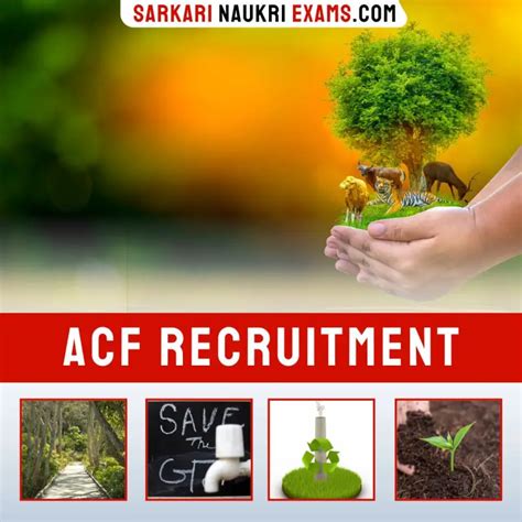 ACF Recruitment 2024 Assistant Conservator Of Forests Sarkari Naukri