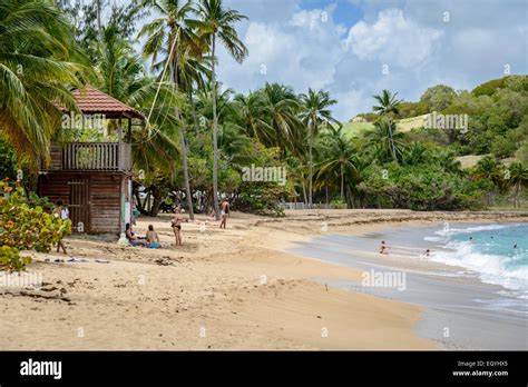 Tartane martinique caribbean beach hi-res stock photography and images - Alamy