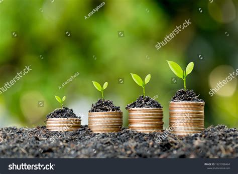 grow   images stock  vectors shutterstock
