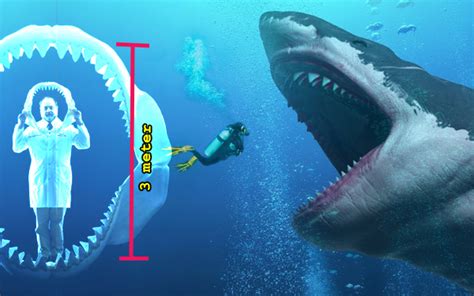 Megalodon Kisah Jerung Paling Besar Dan Ganas Di Dunia Iluminasi